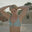 Image de diapositive